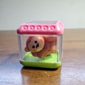 Sensory Block By Fischer Price, Cute Bear Figurine in Display Case
